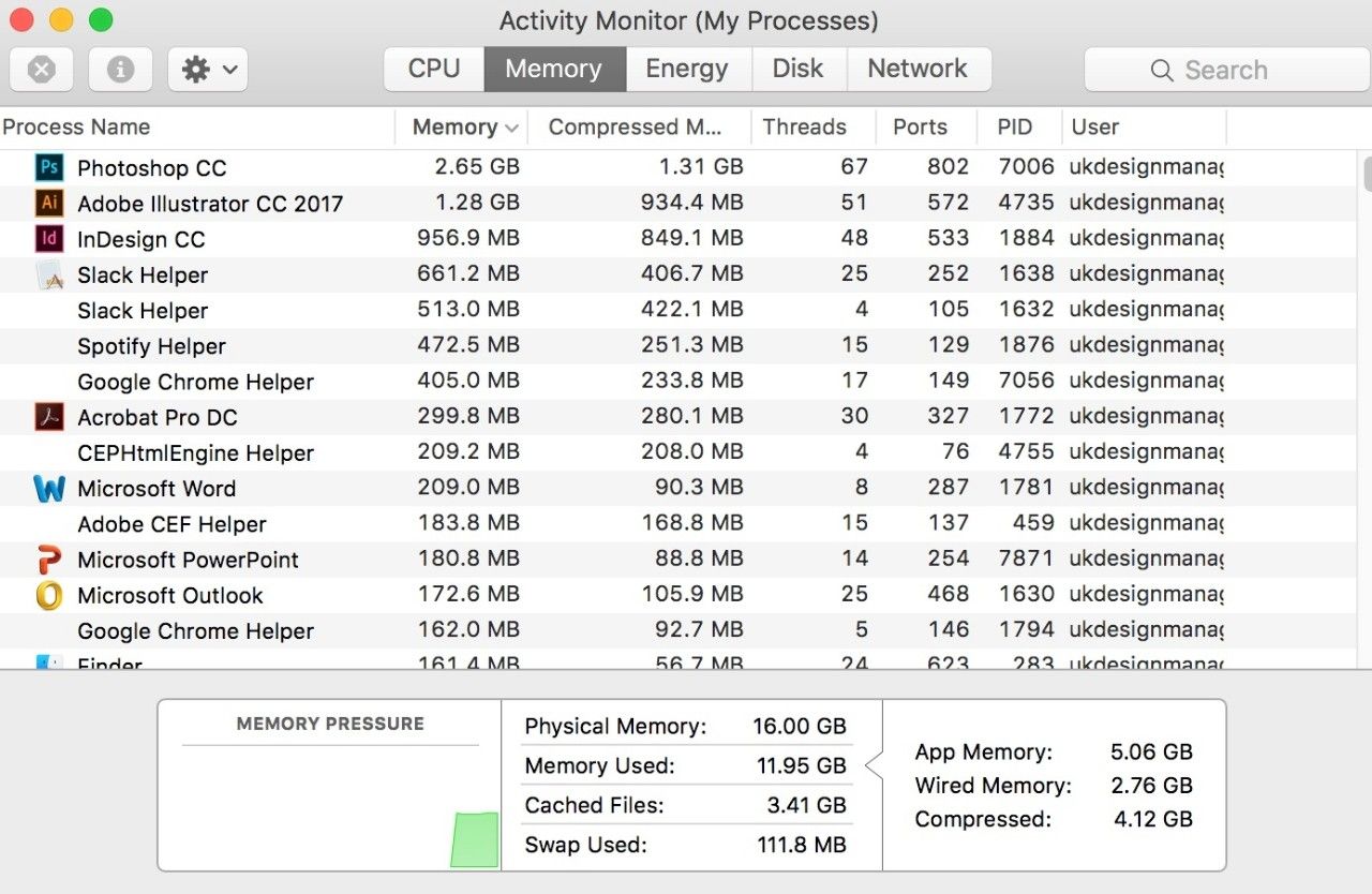 Mac의 활성 상태 보기(나의 프로세스) 윈도우 스크린샷